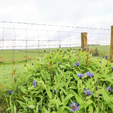 Σπίτι διακοπών 3 Tindale Terrace