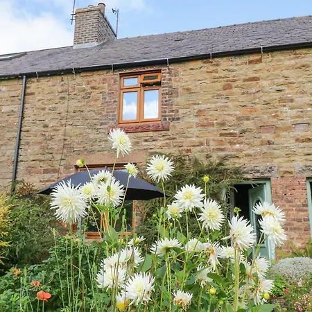 3 Tindale Terrace Casa vacanze Brampton (Cumbria)