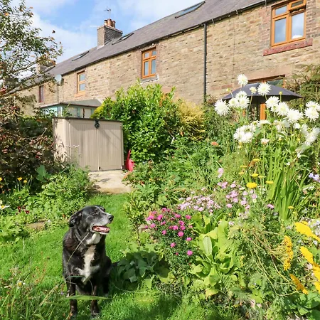 3 Tindale Terrace Brampton (Cumbria)